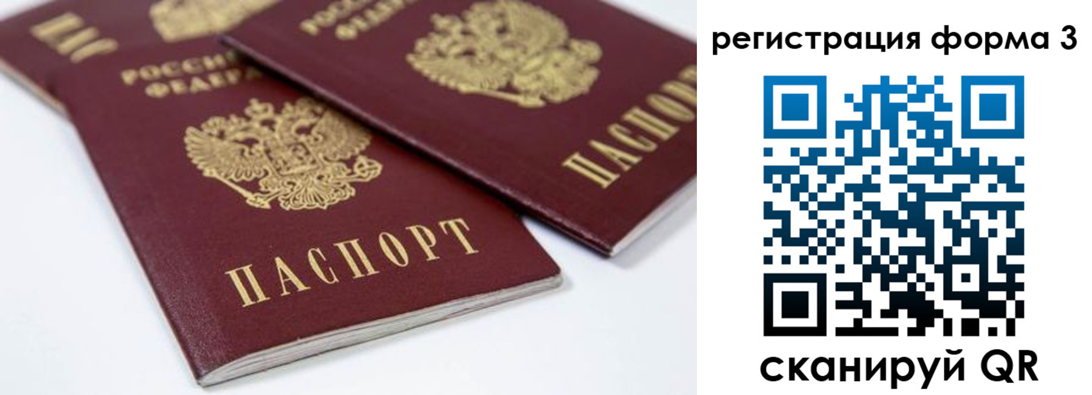 прописка иностранных граждан в Александрове